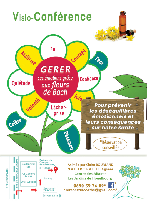 affiche conférence fleurs de bach