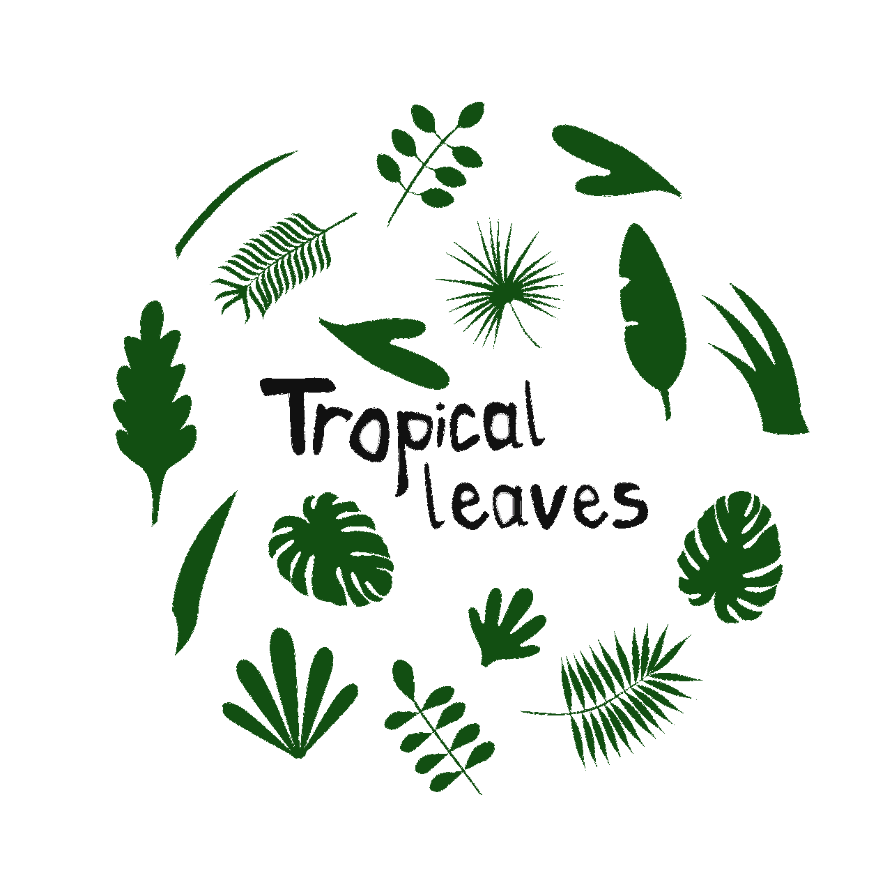 dessin de feuilles de plantes tropicales